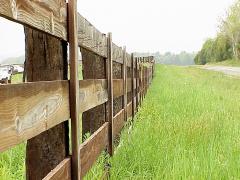 downthefence