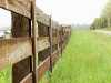 downthefence