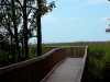 swampwalk