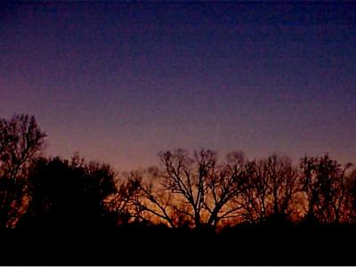 autumndusk