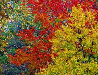 lakeannecolors