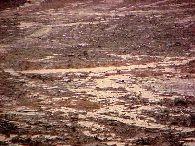 mud
