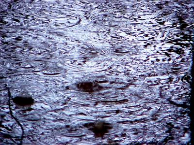 rainripples