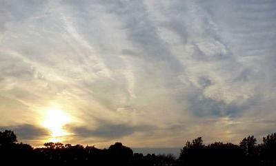sundog