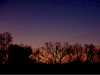 autumndusk