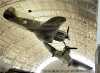fighterpair
