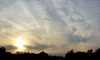 sundog