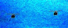 helopair