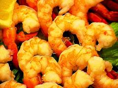 shrimp3