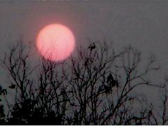 sunset_herndonva_040703
