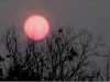 sunset_herndonva_040703