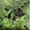 wesley_0412